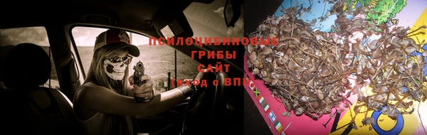 мет Надым