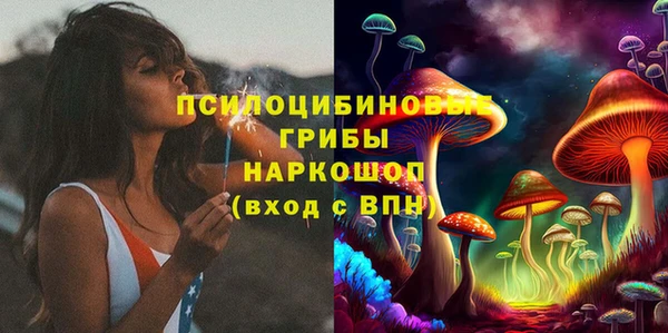 ГАЛЛЮЦИНОГЕННЫЕ ГРИБЫ Навашино