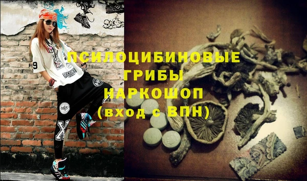 ГАЛЛЮЦИНОГЕННЫЕ ГРИБЫ Навашино