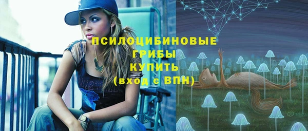тгк Абдулино